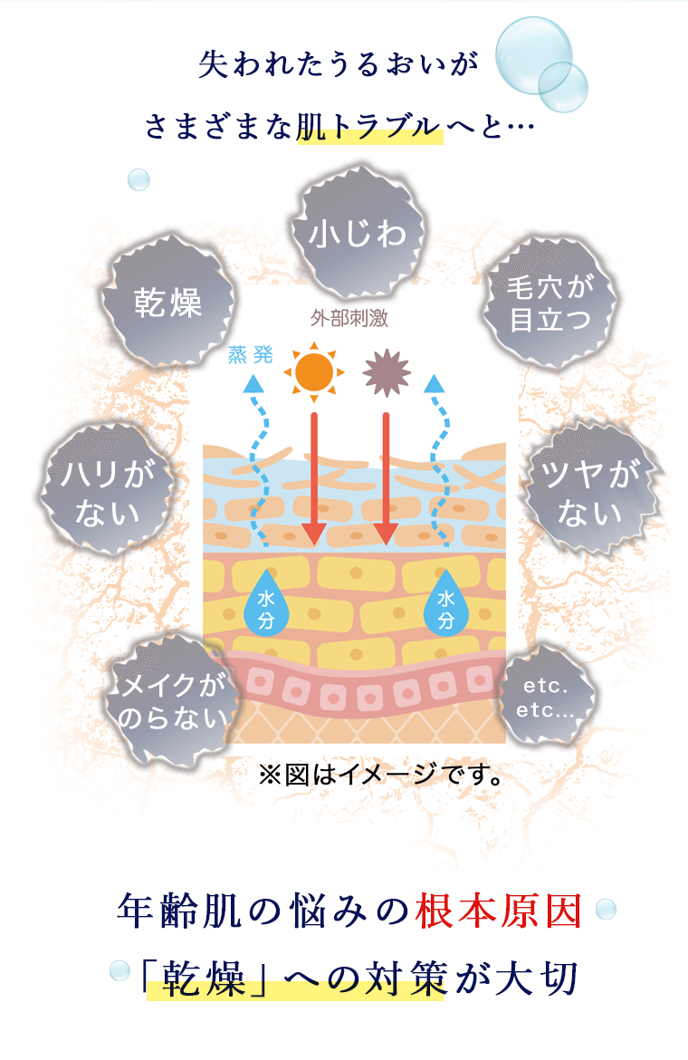 NMN配合のクリーム：NMN+ エヌエムエヌプラス AGパワーリッチ