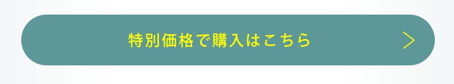 特別価格で購入